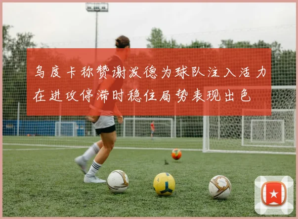 乌度卡称赞谢泼德为球队注入活力在进攻停滞时稳住局势表现出色